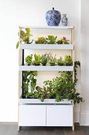 Indoor Garden Indoor Garden Indoor Hydroponics Herbs Indoors