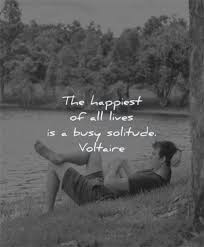 380 Solitude Quotes That Will Make You Feel Powerful