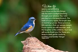 Lessons Learned In Lifewhen Life Seems Overwhelming Lessons Learned In Life