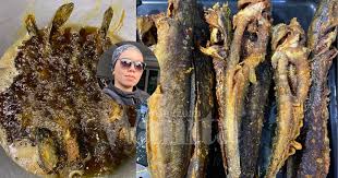 Sambal ikan keli goreng berlado | resepi maktok подробнее. Goreng Ikan Keli Tak Meletup Badannya Tak Bengkok Rangup Krup Krap Mingguan Wanita