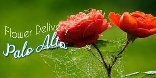 Palo alto, ca with floral and plant designs for events, weddings, moments of sympathy or just because for palo alto families, friends or business gifts. The 10 Best Options For Flower Delivery In Palo Alto 2021