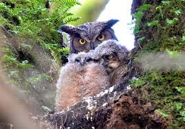 Marcus Donner Photography and Video • Seattle • Telling Stories in Pictures