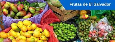 En casa suele ser un cactus que aporta elegancia y que casa muy bien con tonos grises y blancos. Frutas De El Salvador Mipatria Net