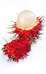 Over a considerable period, rambutan has acquired immense popularity as a seasonally available fruit in many countries of. Rambutan Fruit What Is It And What Health Benefits Does It Have