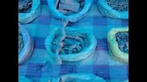 Image result for Floscopa leiothyrsa