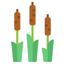 1,000+ vectors, stock photos & psd files. Cattail Free Nature Icons