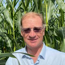 Boost maize dry matter yield and offset conventional N with biofertiliser