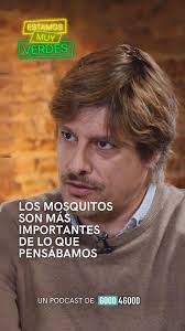 Si existe un zumbido reconocible en el mundo es el de los mosquitos 🦟,  pero ¿Sabías que esos pequeños chupasangres que nos fastidian las noches  tienen un papel crucial en la naturaleza? , 1. ¡Son un ...