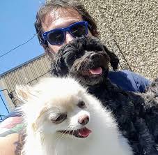 I highly recommend puppy day camp and the training program, especially if you work 40+ hours a week. Best Friends Pet Hotel Best Friends Pet Care Chicago Il