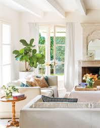 Image result for ficus benjamina en casa