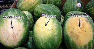 Maybe you would like to learn more about one of these? Come Scegliere Il Cocomero Piu Buono Rimedio Naturale