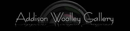 Addison Woolley Gallery
