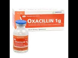 Image result for Oxacillin