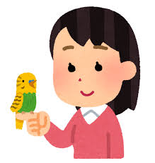 手乗りインコのイラスト（女性） | かわいいフリー素材集 いらすとや