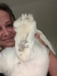 Mom bought me insurance. How did I show my thanks? I got a mysterious red  eye and racked up a $300 vet bill. Our policy begins