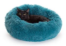 Bed comes either shrink wrapped or rolled. Marshmallow Cat Bed The Coziest Cat Bed You Ll Ever Find Cat Bed Dog Mattresses Cat Sleeping