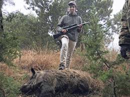 Maybe you would like to learn more about one of these? Texas Wild Hog Hunts At Ranchono Madrono Pipe Creek Tx