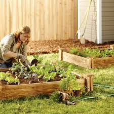 Hochbeet Anlegen Und Bepflanzen Bei Westfalia Versand Deutschland