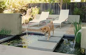 Find outdoor party recipes, videos, and ideas from food network. 8 Dog Approved Backyard Ideas