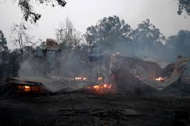 Enzim akan dinyahasilkan jika suhu melebihi 72 ° c. Kemarau Burukkan Insiden Kebakaran Belukar Di Timur Barat Australia