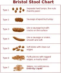 Image result for acholic stools human