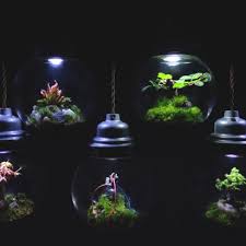 Kyoto Gardener Builds Space Like Terrariums Cnn Style