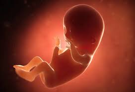 Image result for Brow Presentation