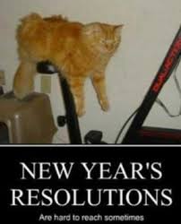New Year Memes Resolutions And Funny Humor New Year Meme Funny New Years Memes New Year Jokes
