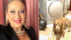 Sparano al cane di Carolyn Smith: "Sei un pezzo di mer*da"