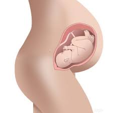 Six months you have to f. How Many Months Pregnant Is 38 Weeks During Pregnancy