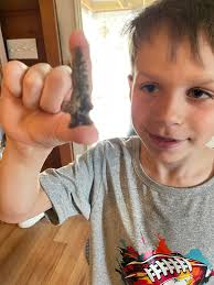 9-year-old grandson finds first artifact