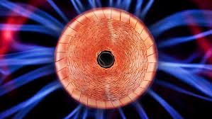 This article was produced for mega by scientific american custom media, a division separate from the magazine's board of editors. Here S What Tesla Will Put In Its New Batteries Ars Technica