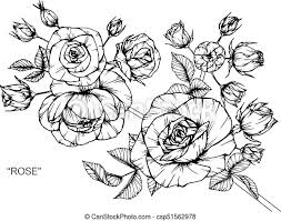 Image dessin noir et blanc • les plus belles photos par. Croquis Flower Line Art Roses Noir Blanc Dessin Canstock
