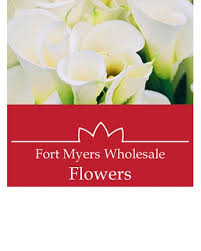 Bj's wholesale, fort myers, lee county, florida, jungtinės valstijos — vieta žemėlapyje, telefonas, darbo valandos, atsiliepimai. Market Wholesale Calla Lilies Fort Myers Florist