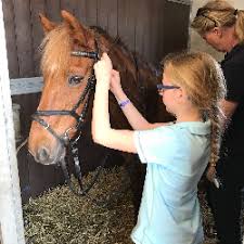 Je kan foto's die via bokt na twee weken mag je je mooie tekeningen om na te tekenen makkelijk hond kleurplaat. Diy Hoe Teken Je Een Paard Pony Penny