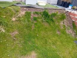 Ash Care Landscape added a new photo.