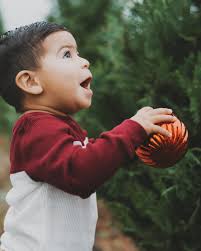 Brittany Pettit Photography