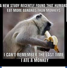 Time Flies Like An Arrow Fruit Flies Like A Banana Pun Pin By Becky Marzullo On Funny Funny Haha Funny Funny Cartoons
