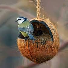 bella casa mangeoires pour oiseaux faites maison mangeoire oiseau bricolage nichoir