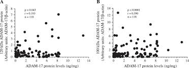 ADAM-17 predicts adverse outcome in patients with breast cancer