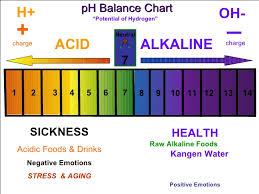 Ph Chart Ph Scale Diagram With Corresponding Acidic Or