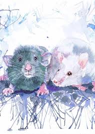 Mouse Art Pet Rat Painting Rodent Watercolor Print Mouse Etsy Cute Art Watercolor Paintings Illustration Art