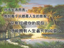 对于生活而言 我们每个人都是人生的旅客 只有珍惜你的现在 才能拥有人生最大的收获 buddha quotes life quotes life