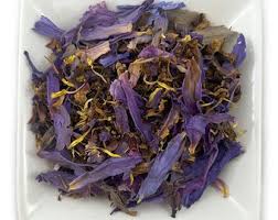 Image result for Platysepalum