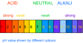 class ten science acid base and salt strength and indicator