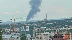 Koulařka červenková se díky koronaviru zlepšila. O4xq8dsga4bndm