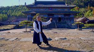 Tai Chi: Master Gu explains how to be balanced ☯️ - YouTube
