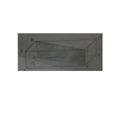 Diketahui balok berukuran 20 cm * 9 cm * 12 cm panjang diagonal ruang balok adalah. Balok Diatas Berukuran Panjang 12cm Lebar 8cm Dan Tinggi 4cm Luas Bidang Diagonal Bdhf Adalah Brainly Co Id