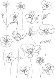 A5 Giclee Print Minimal Artwork Illustration Flowers Line Art Flowers Floral Illustrations Line Art Drawings