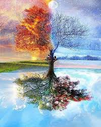 Il faut savoir qu'en france, les assureurs n'exigent pas que des pneus neige soient montés. Peinture Par Numeros Arbre 4 Saisons Figured Art